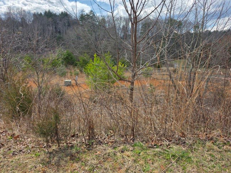 Lot #51 Porter Creek Dr LOT 51