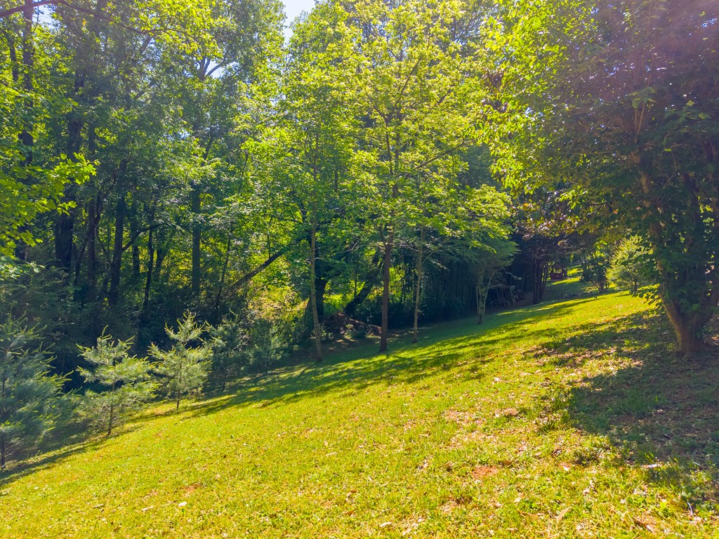 124 Spring Valley Lane