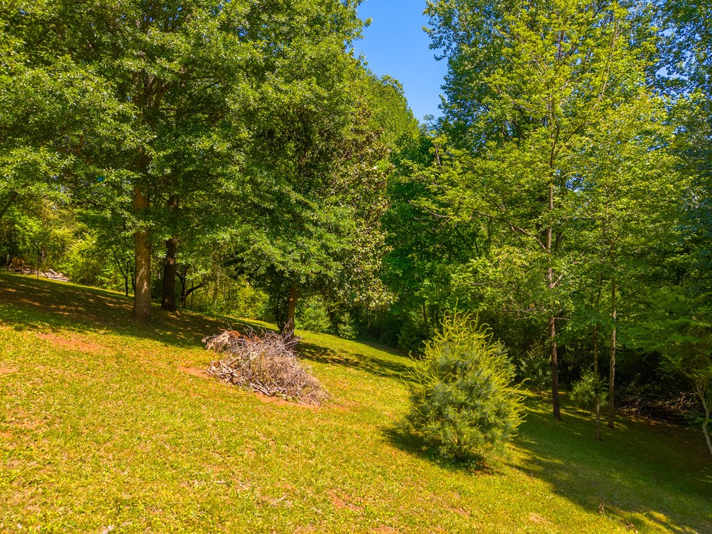 124 Spring Valley Lane