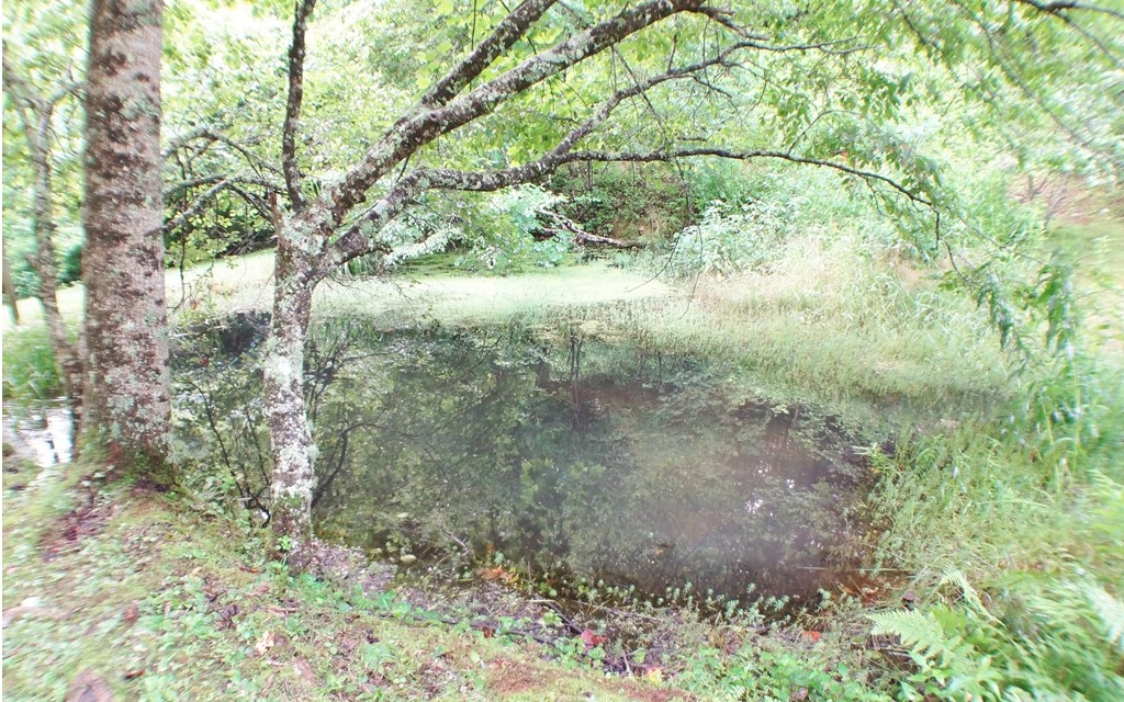 720 Hampton Branch Road
