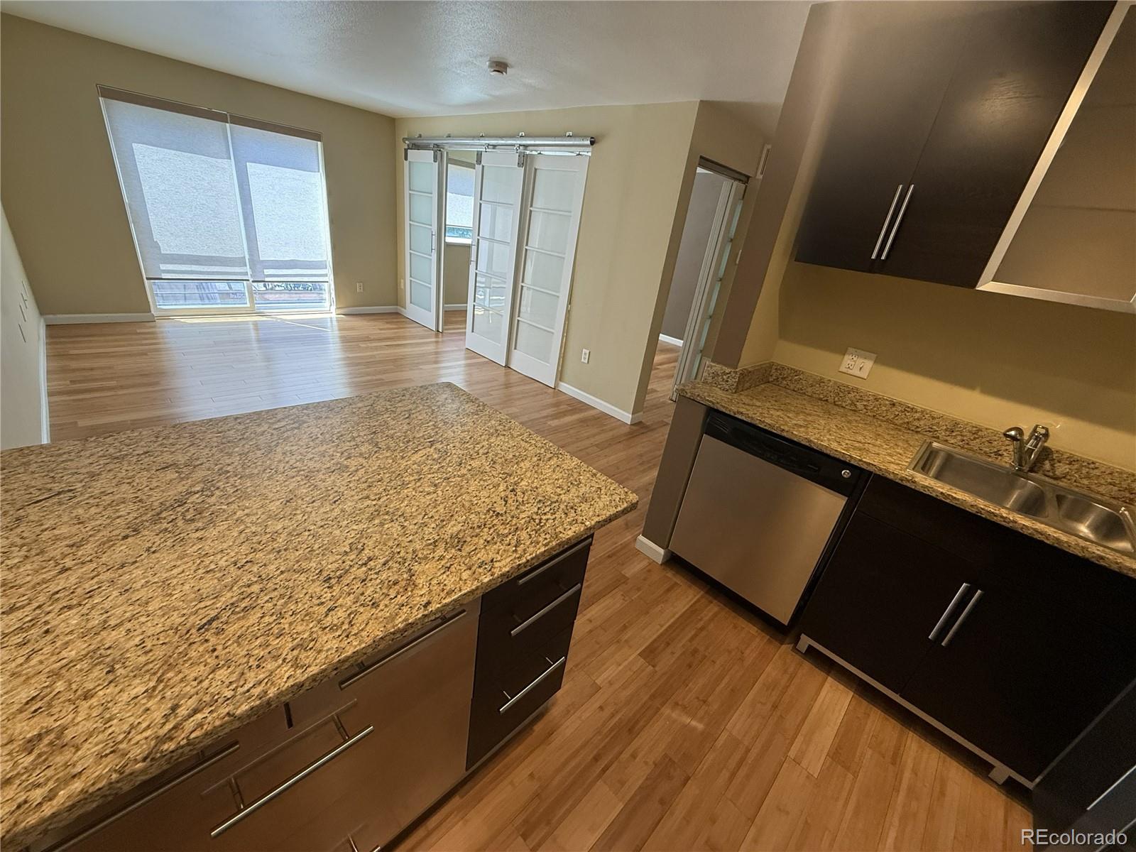 1032 N Clarkson Street Unit: 208