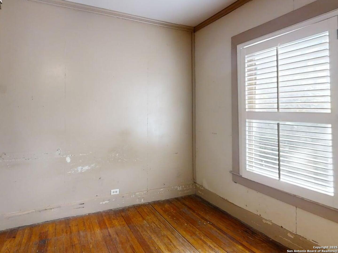 519 E Huisache