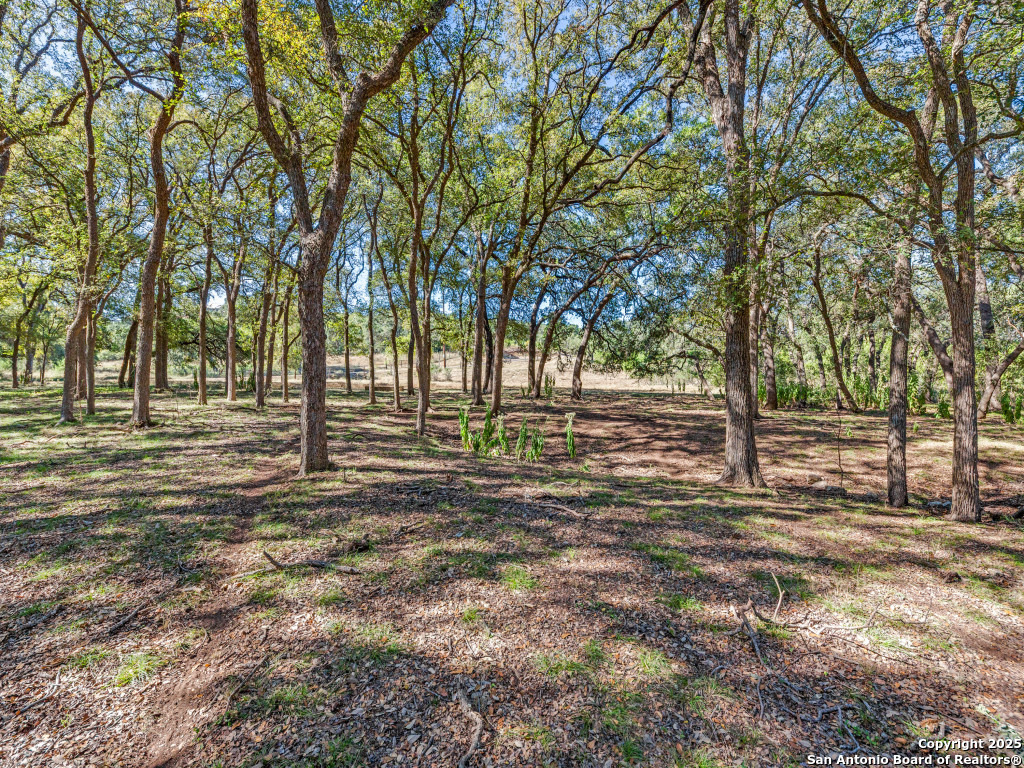 24209 Scenic Loop