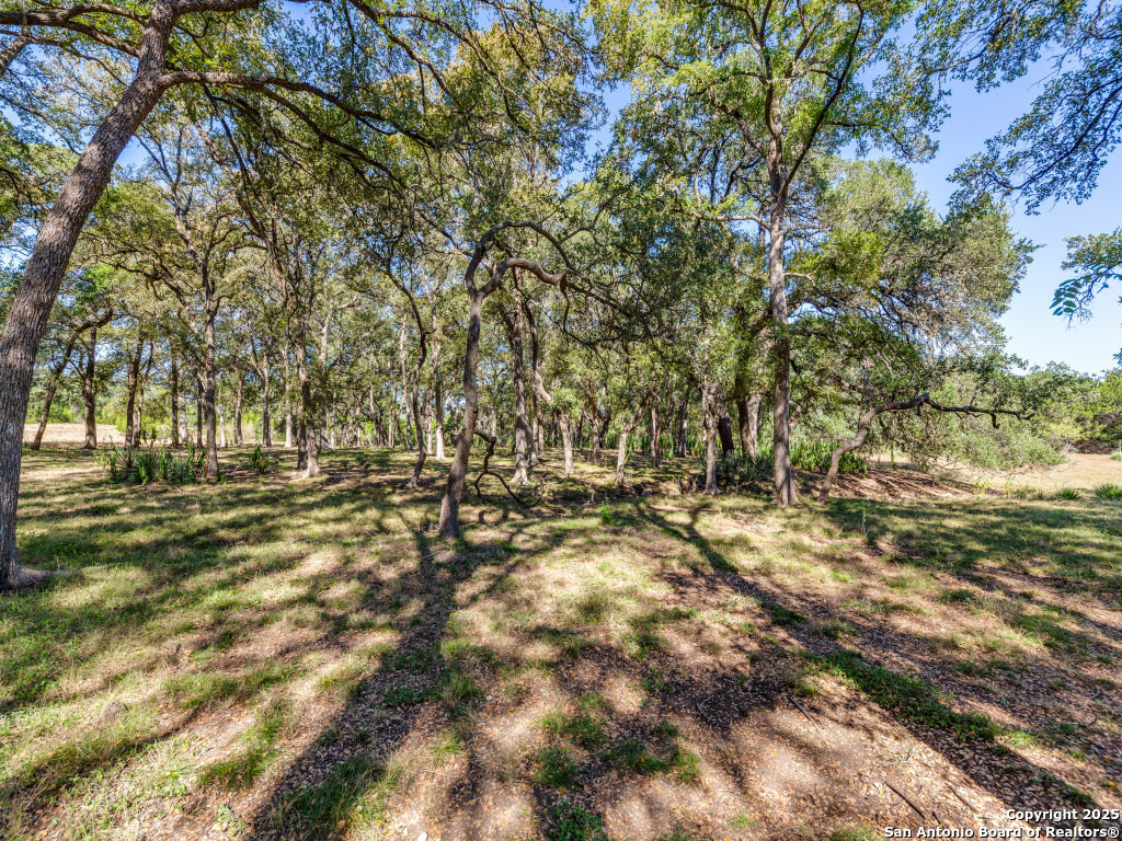 24209 Scenic Loop