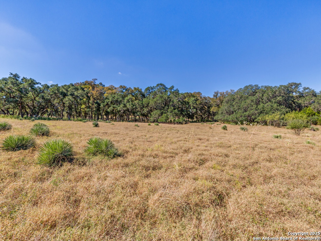 24209 Scenic Loop