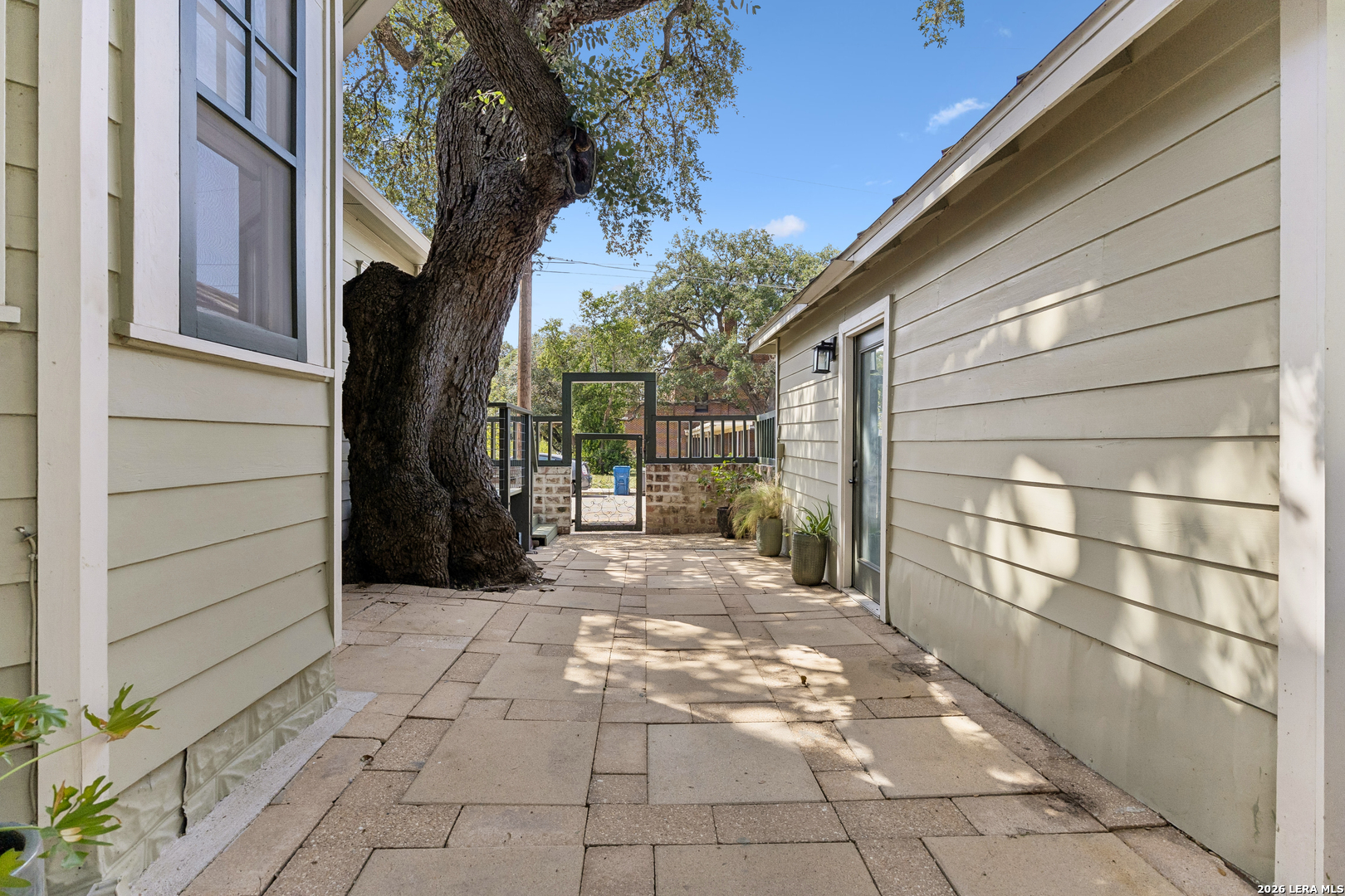 Paved courtyard between house structures, with a large shade tree, potted plants, and a gate.