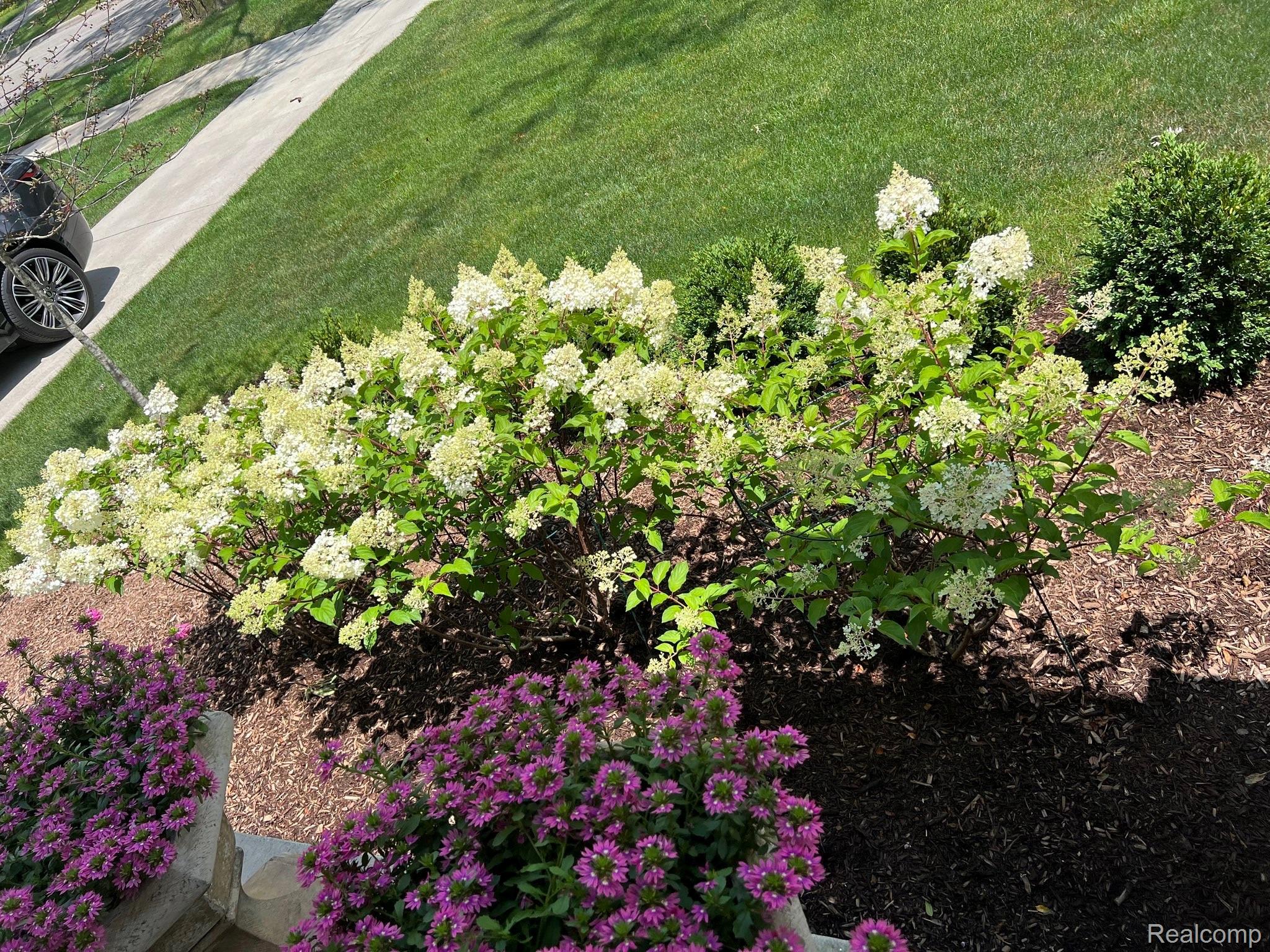 1992 SHIPMAN Boulevard