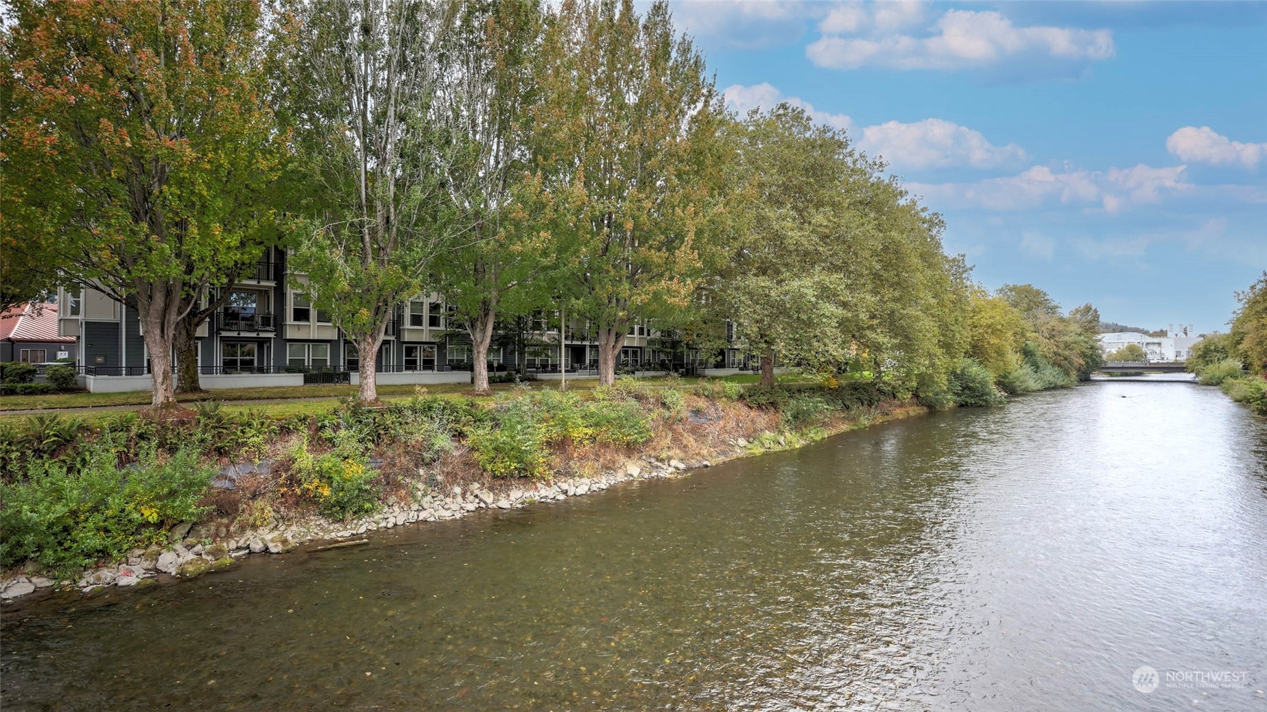 55 Williams Avenue S Unit: 205