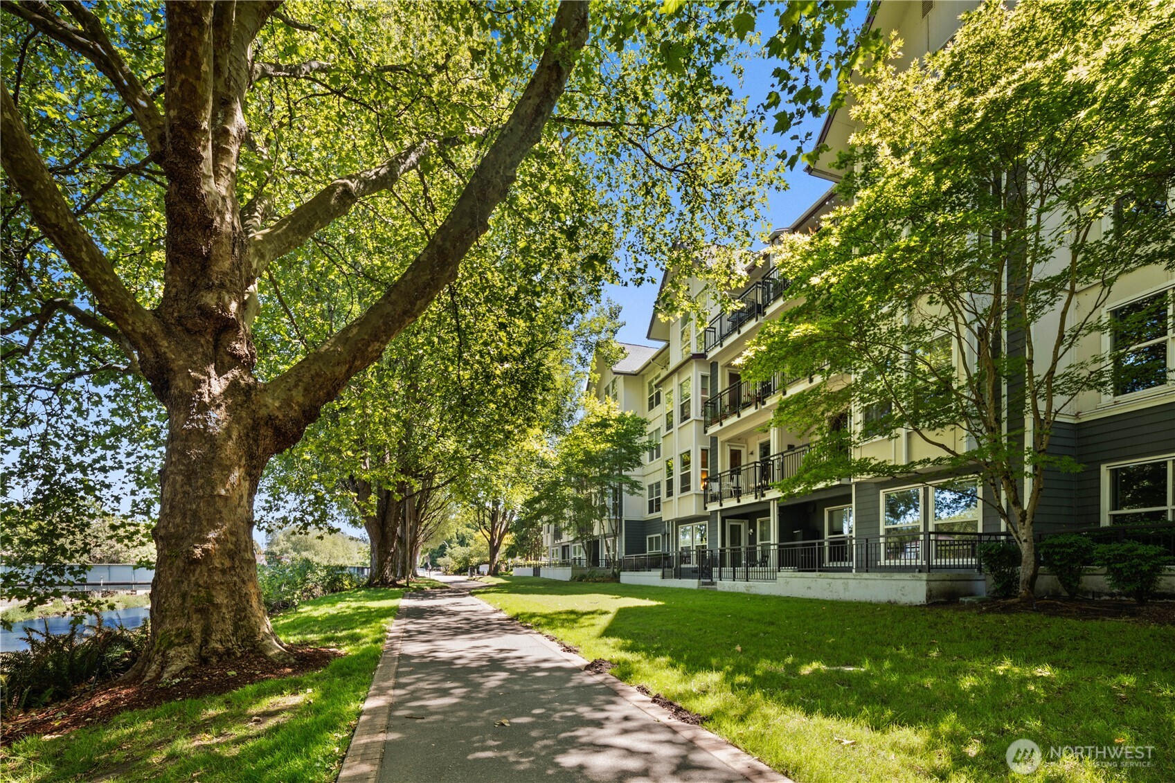 55 Williams Avenue S Unit: 205