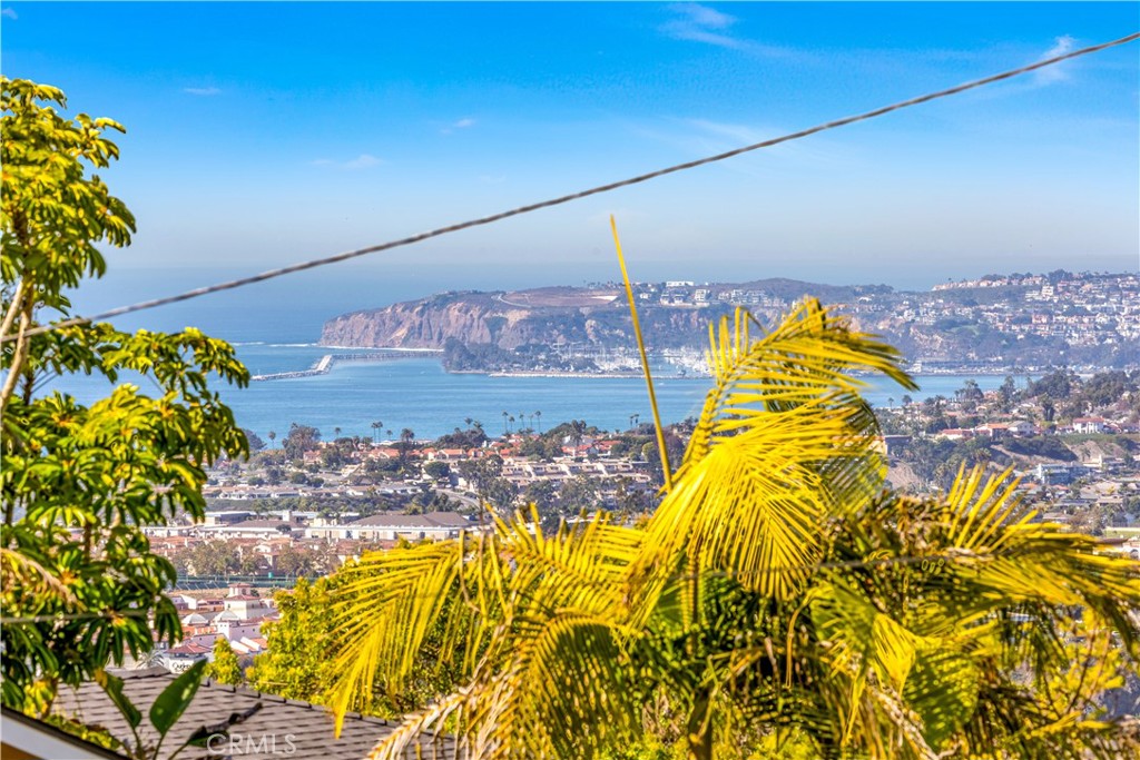 113 Avenida Salvador