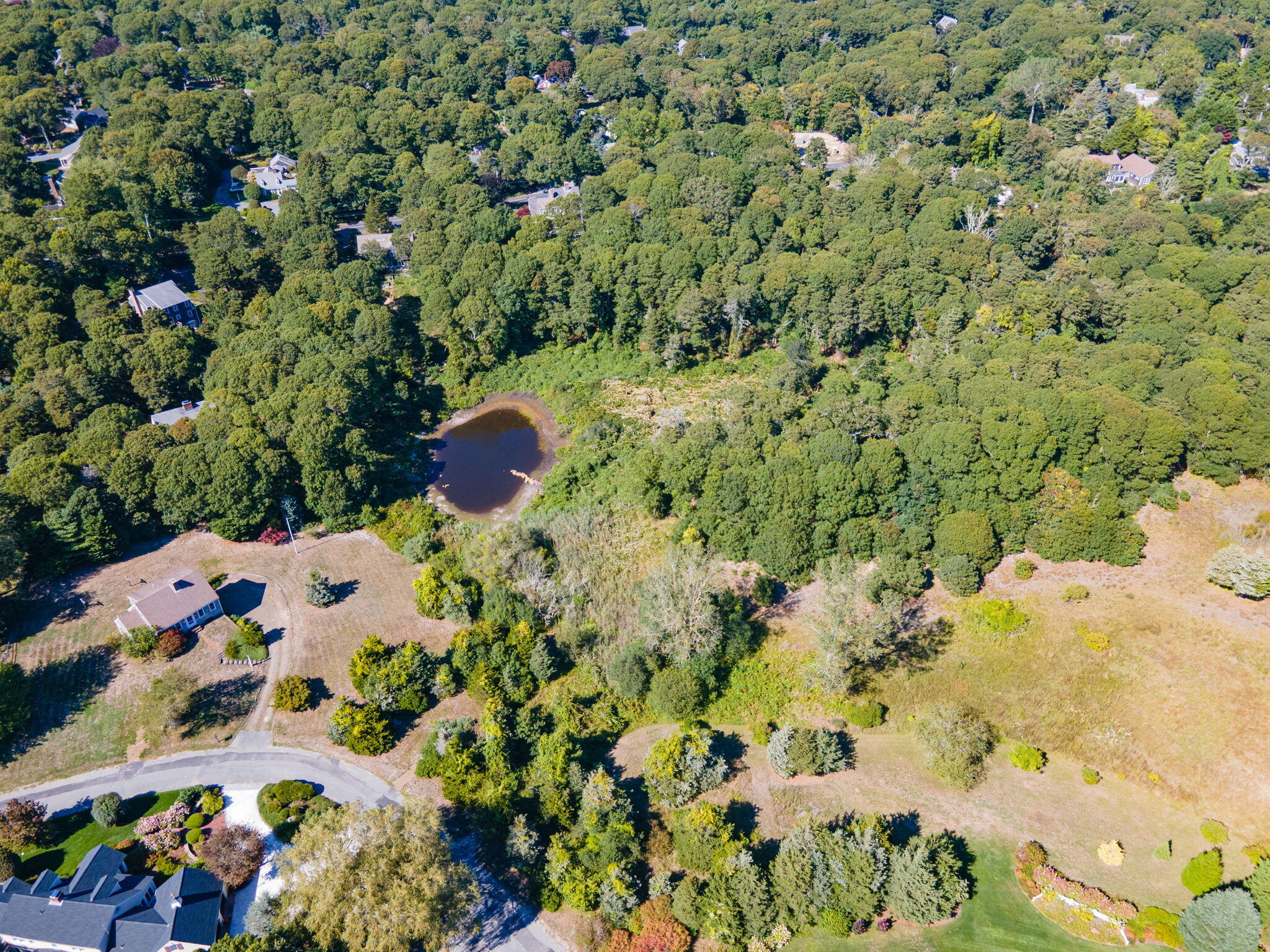 19 Nauset Farms Way