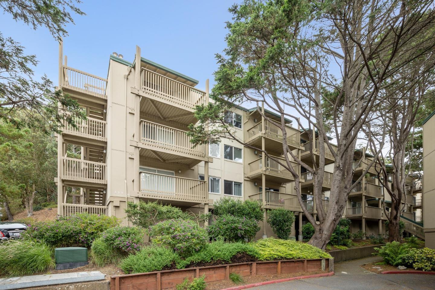 359 Half Moon Lane 113