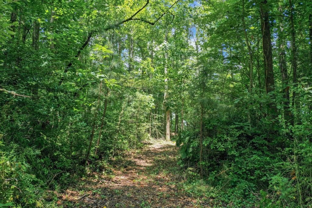 74 Old Friendship Lane