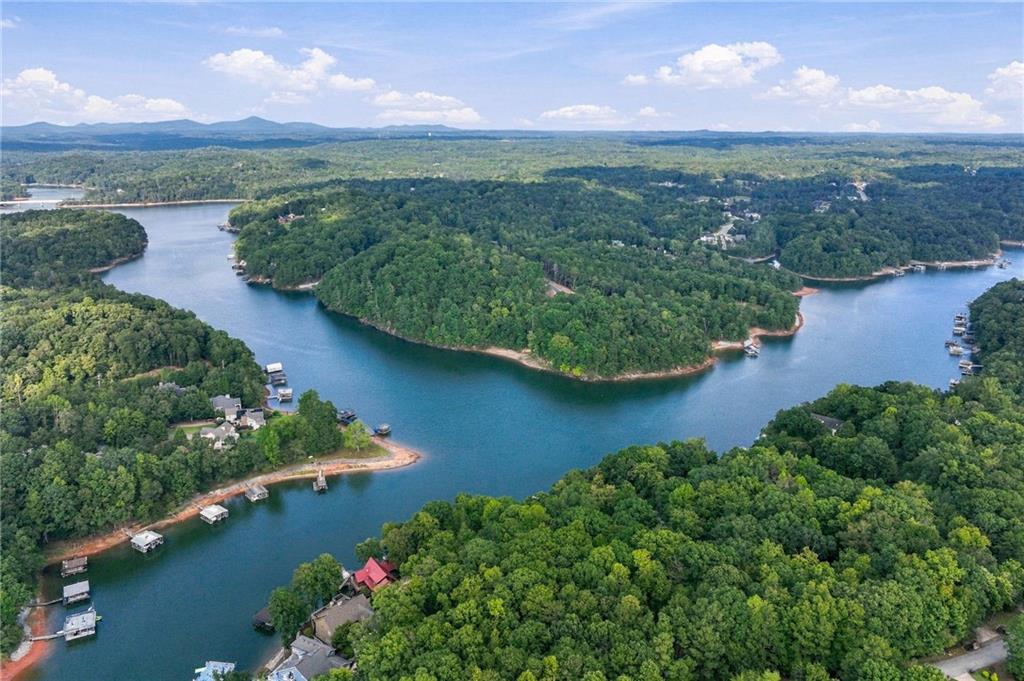 319 Chestatee View Drive