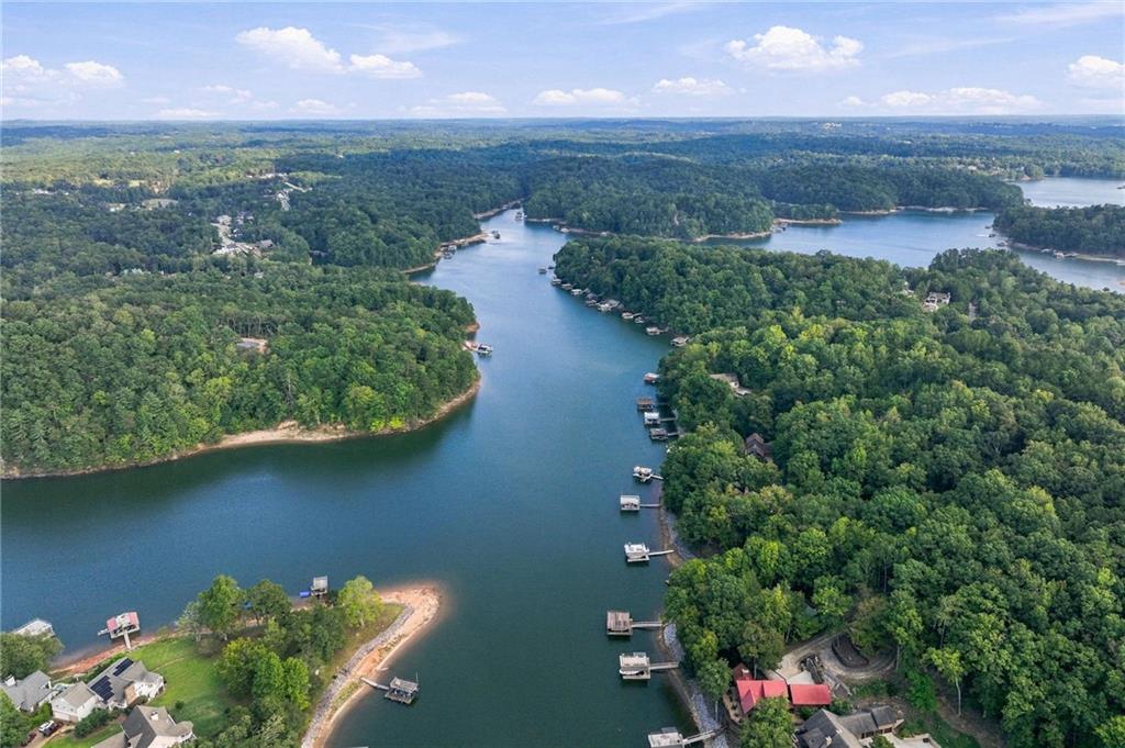 319 Chestatee View Drive