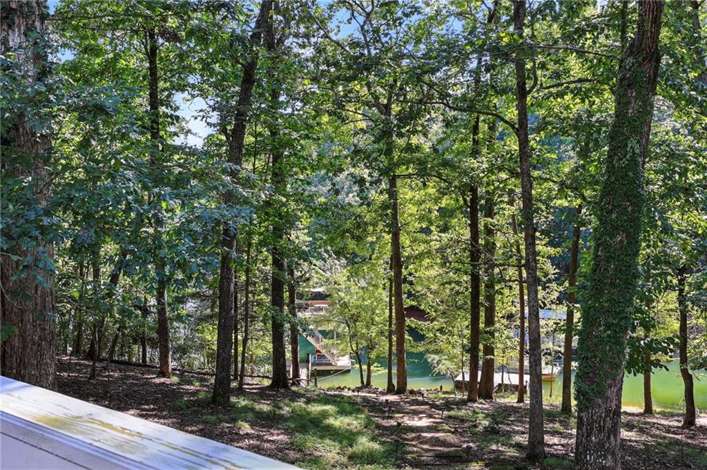 Wooded shoreline slopes down to a green lake, with a dock visible through the trees.