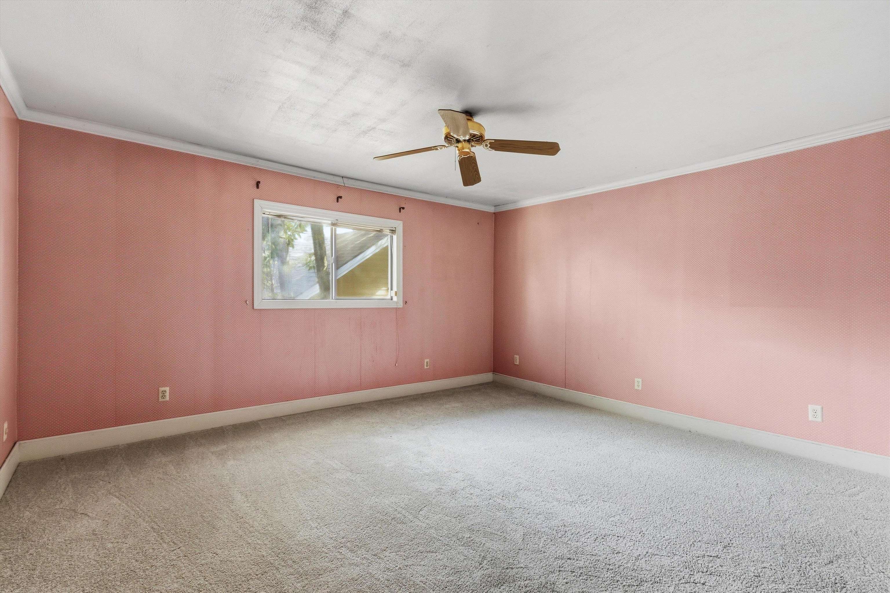 Empty bedroom with pink patterned walls, beige carpet, a ceiling fan, and a small window.