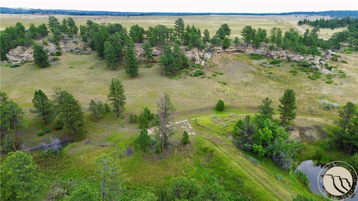 21+ Acres N Delphia Road & Sheepherder Trail