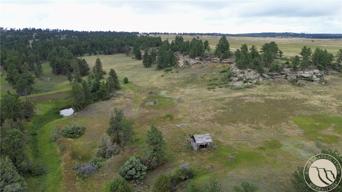 21+ Acres N Delphia Road & Sheepherder Trail
