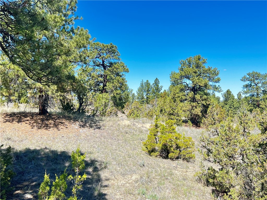 Lot 46 S Woodland ROAD