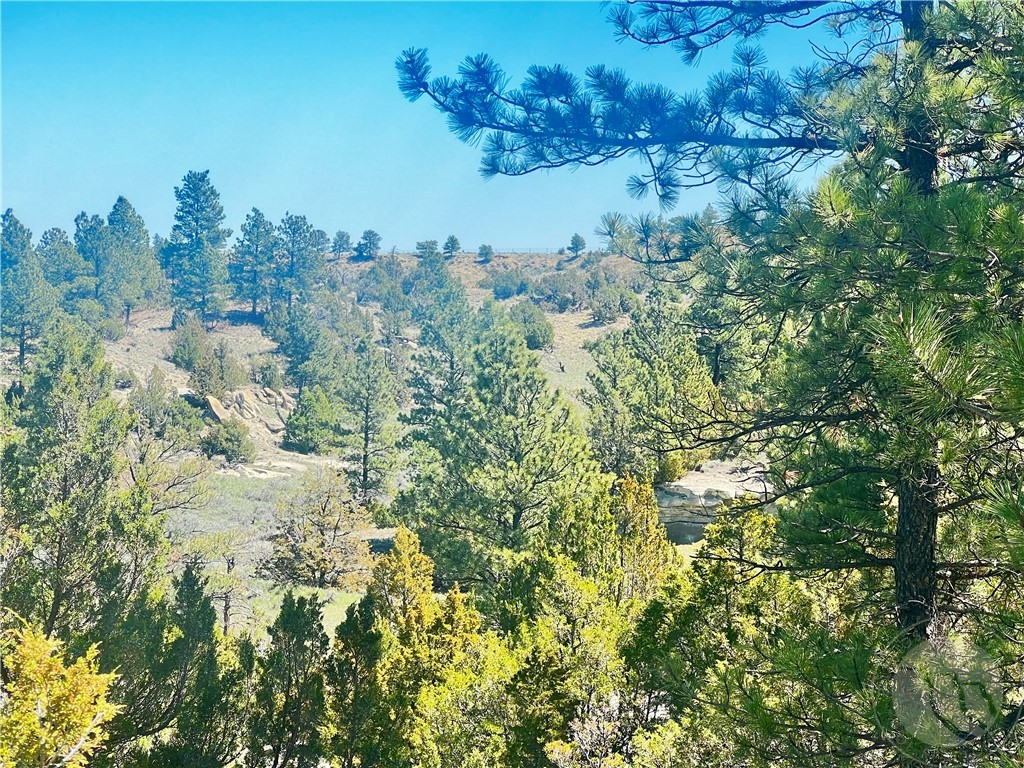 Lot 46 S Woodland ROAD