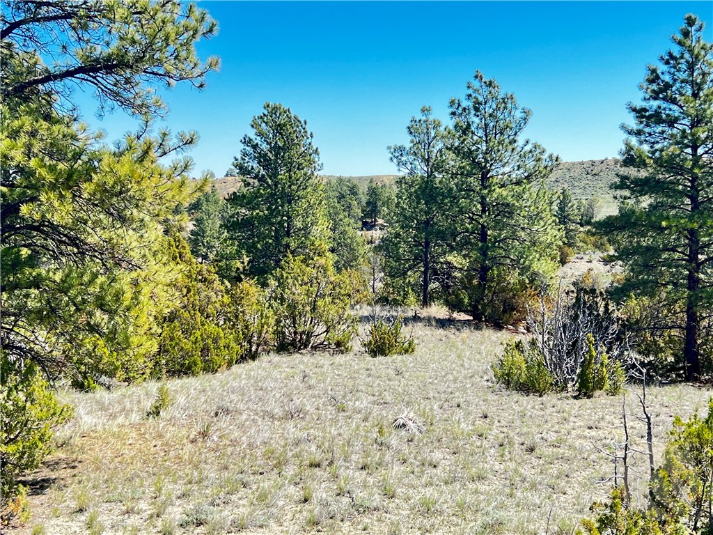 Lot 46 S Woodland ROAD