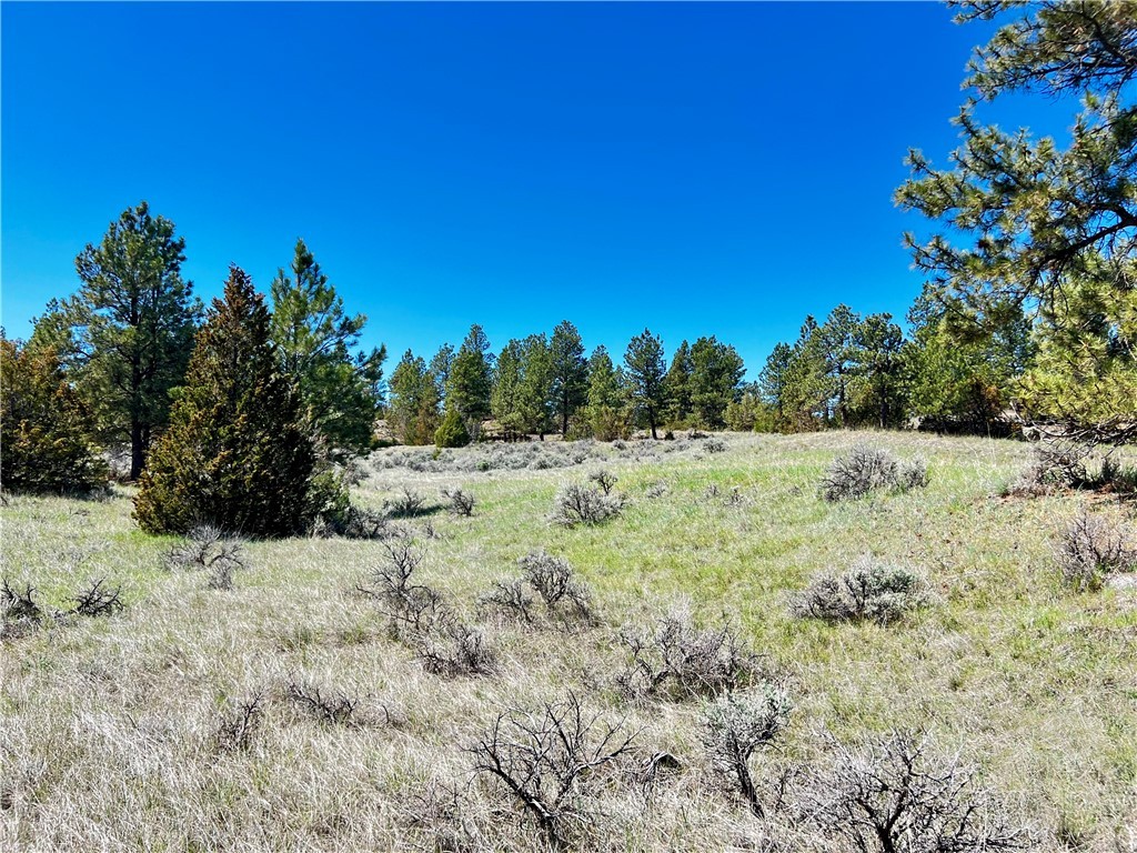 Lot 46 S Woodland ROAD