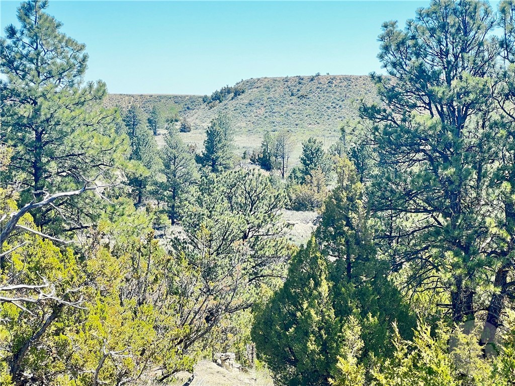 Lot 46 S Woodland ROAD