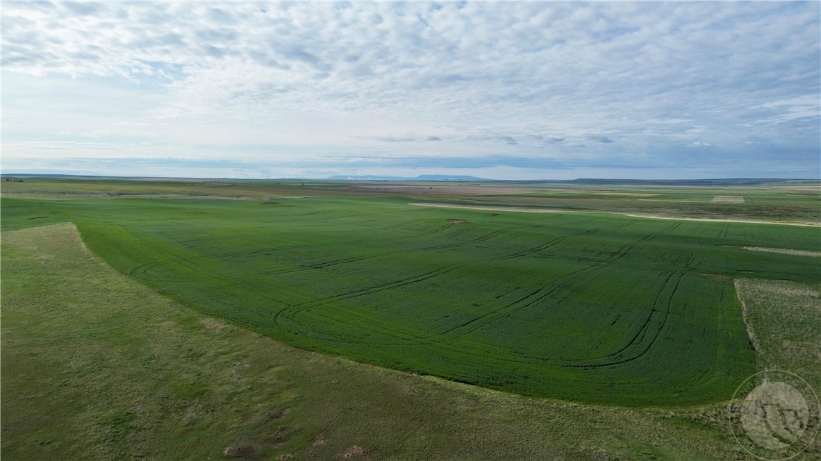 N 320 Acres Molt Rapelje Road