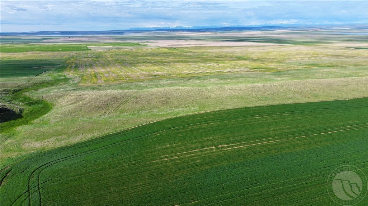 N 320 Acres Molt Rapelje Road