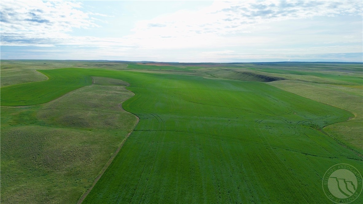 N 320 Acres Molt Rapelje Road