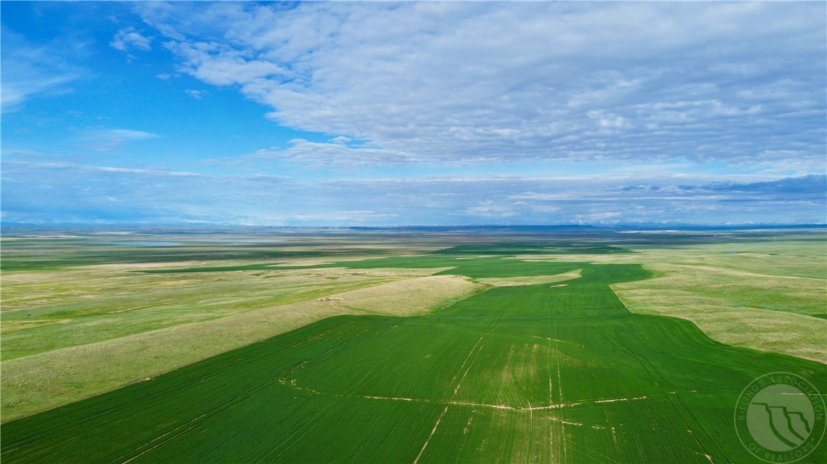 N 320 Acres Molt Rapelje Road