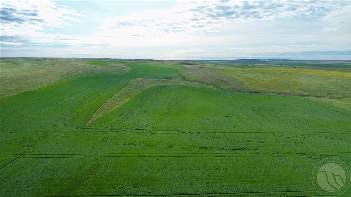 N 320 Acres Molt Rapelje Road