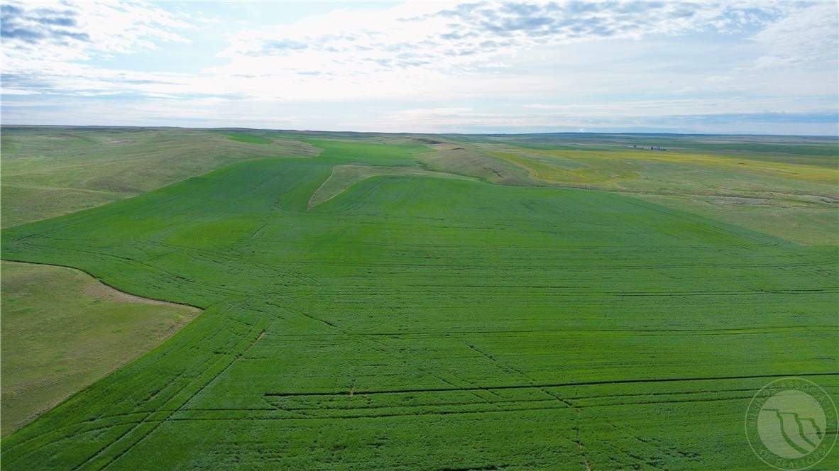 N 320 Acres Molt Rapelje Road