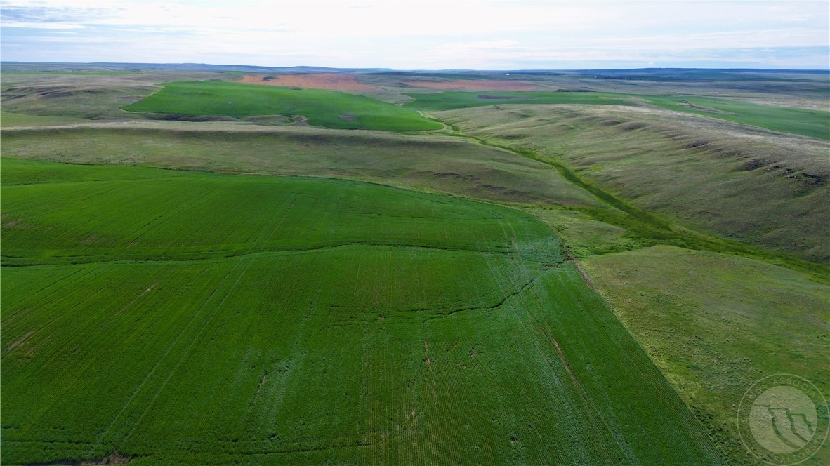 N 320 Acres Molt Rapelje Road