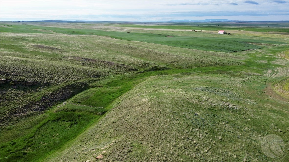 N 320 Acres Molt Rapelje Road