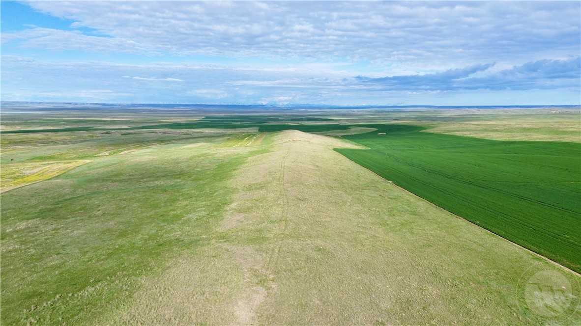 N 320 Acres Molt Rapelje Road