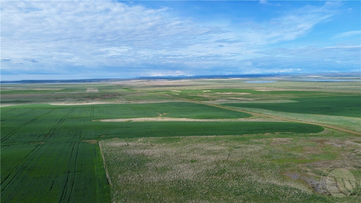 N 320 Acres Molt Rapelje Road
