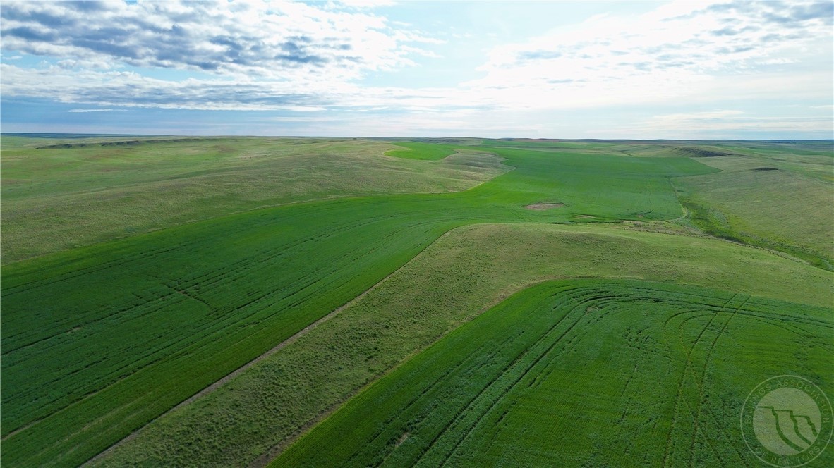 N 320 Acres Molt Rapelje Road