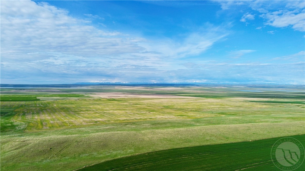 N 320 Acres Molt Rapelje Road