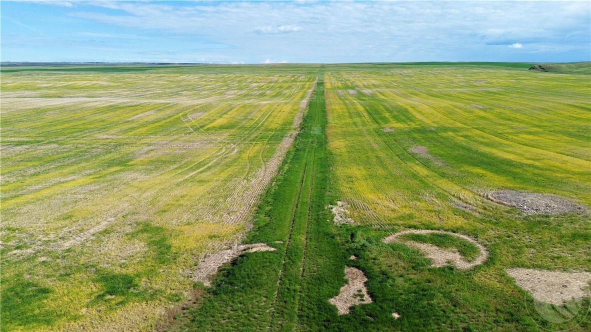 S 320 Acres Molt Rapelje Road