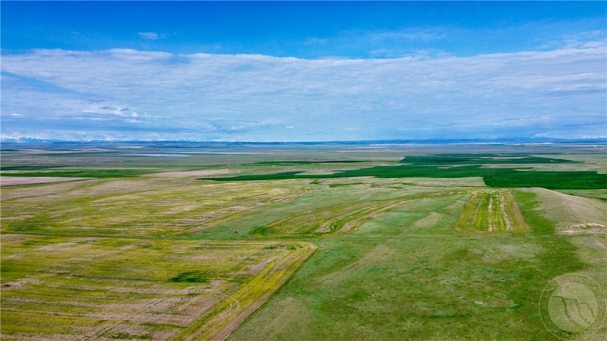 S 320 Acres Molt Rapelje Road