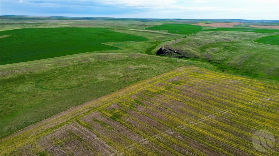 S 320 Acres Molt Rapelje Road