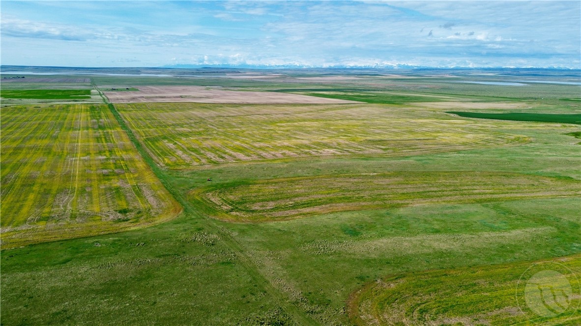 S 320 Acres Molt Rapelje Road