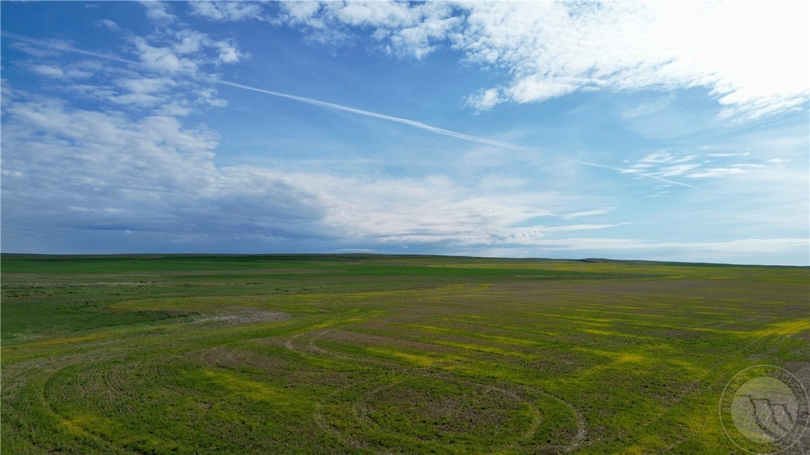 S 320 Acres Molt Rapelje Road