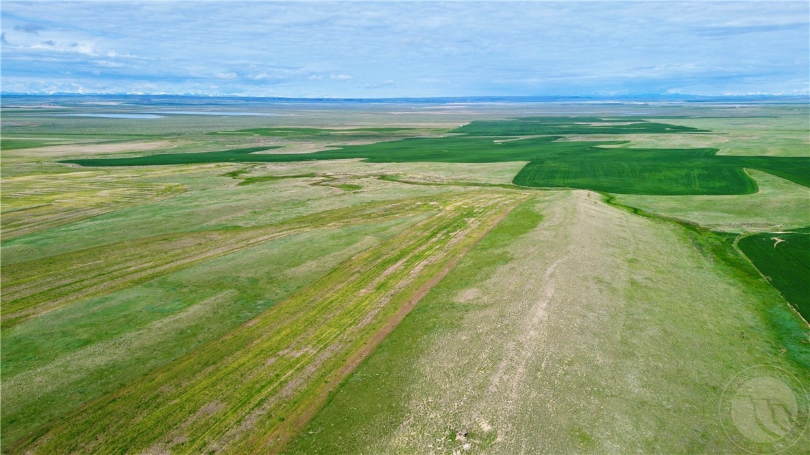 S 320 Acres Molt Rapelje Road