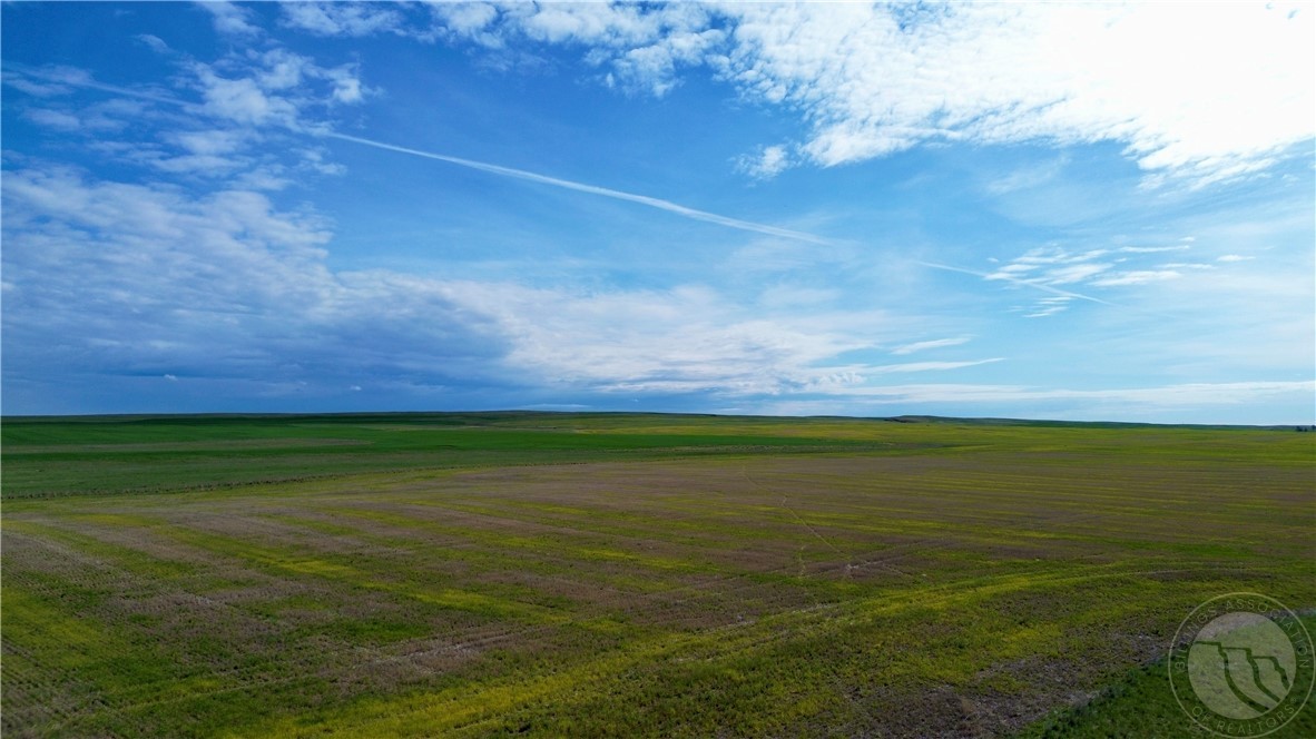 S 320 Acres Molt Rapelje Road