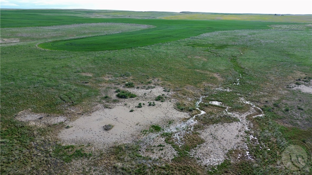 S 320 Acres Molt Rapelje Road