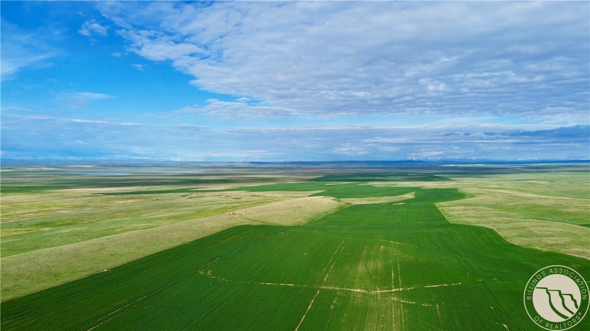 640 Acres Molt Road