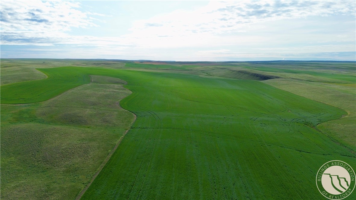 640 Acres Molt Road